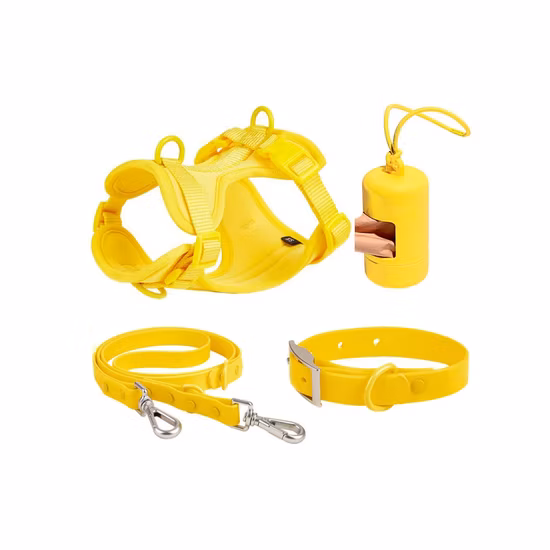 Pet Accessories 6 in 1 Set Neoprene Custom Pattern Printing Polyester Dog Harnees/ Collar/ Bowtie/ Poo Bag/ Bandana/ Leash